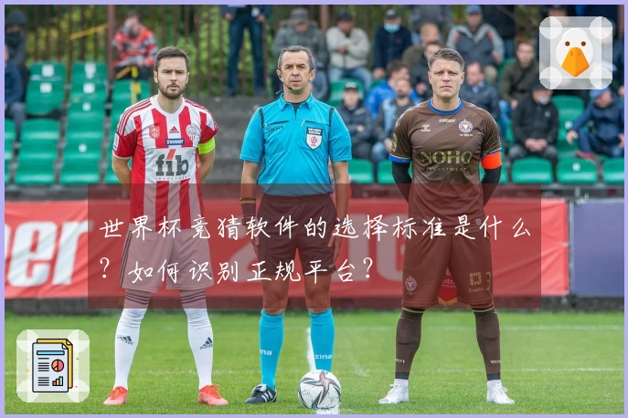 世界杯竞猜软件的选择标准是什么？如何识别正规平台？