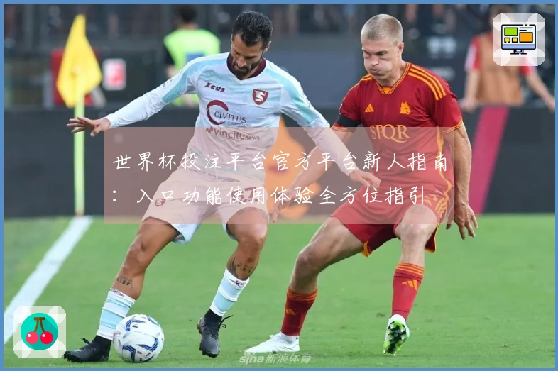 世界杯投注平台官方平台新人指南：入口功能使用体验全方位指引