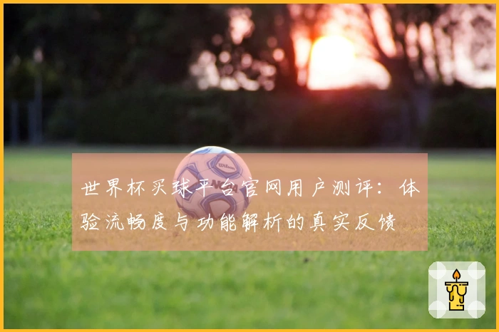 世界杯买球平台官网用户测评：体验流畅度与功能解析的真实反馈