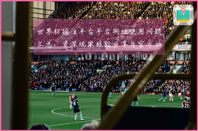 世界杯投注平台平台网址使用问题汇总，资深玩家经验分享与官方功能介绍