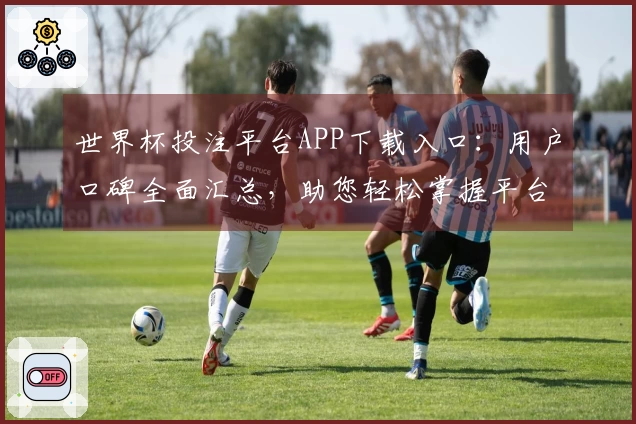 世界杯投注平台APP下载入口:用户口碑全面汇总,助您轻松掌握平台体验