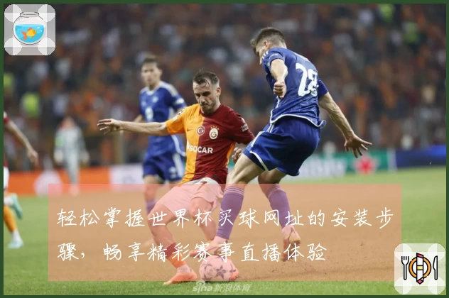 轻松掌握世界杯买球网址的安装步骤，畅享精彩赛事直播体验