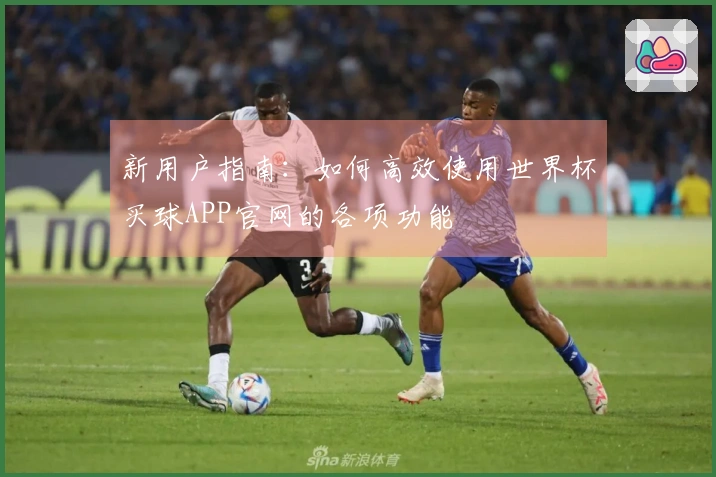 新用户指南：如何高效使用世界杯买球APP官网的各项功能