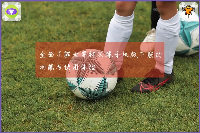 全面了解世界杯买球手机版下载的功能与使用体验