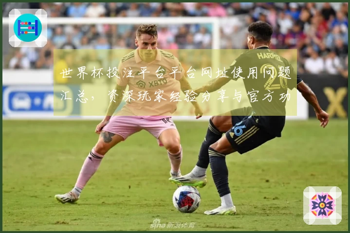 世界杯投注平台平台网址使用问题汇总，资深玩家经验分享与官方功能介绍